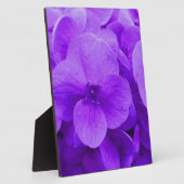 Plaque Photo Blue Violet Hydrangea (Côté)