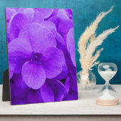 Plaque Photo Blue Violet Hydrangea (Côté)