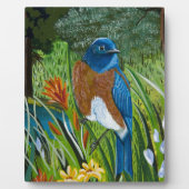 Plaque Photo Bluebird (Devant)