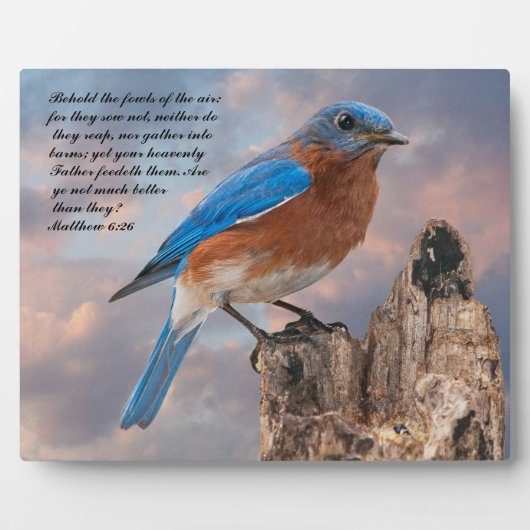 Plaque Photo BLUEBIRD - Matthieu 6:26 (Devant)