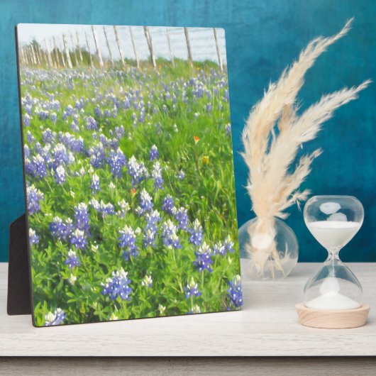 Plaque Photo Bluebonnets côté route (Côté)