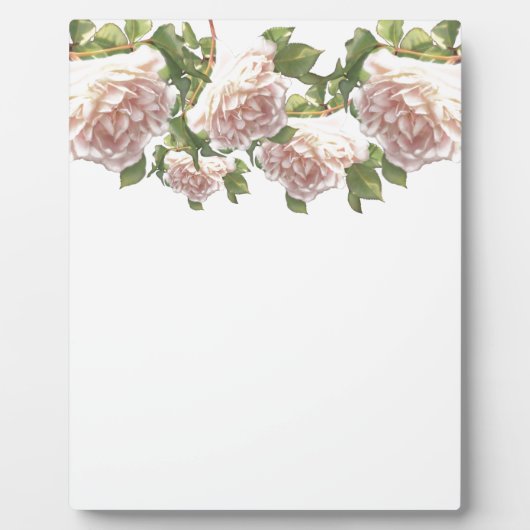 Plaque Photo Blushing Ivory Peach Rose (Devant)