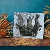 Plaque Photo Boadicea, années 1850 (bronze) (voir aussi 33580) (Côté)