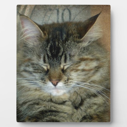 Plaque Photo Bob (Devant)