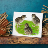 Plaque Photo Bobwhite Quail (Côté)
