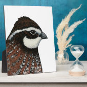 Plaque Photo Bobwhite Quail Head (Côté)
