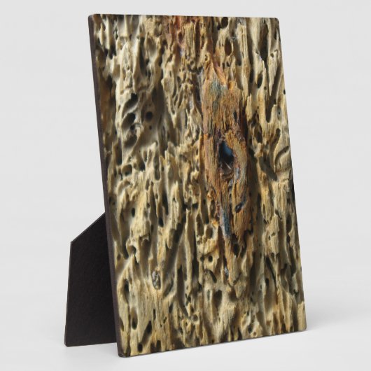 Plaque Photo Bois (Côté)