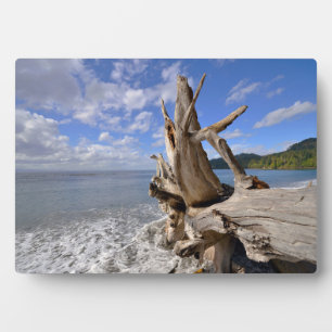 Plaque Photo Bois Dérivé Sur Le Rivage De French Beach