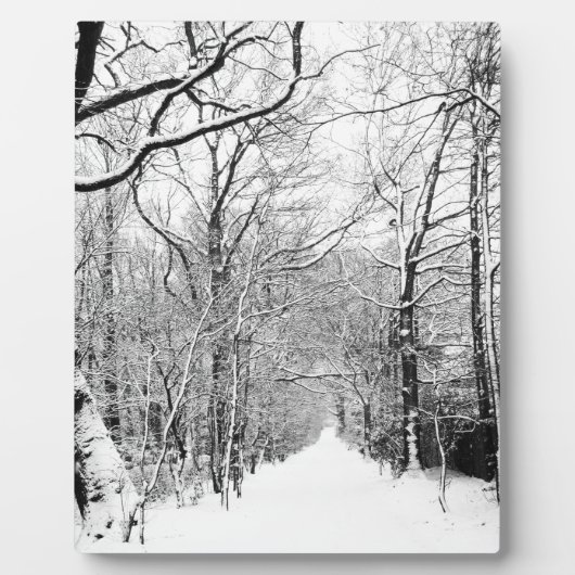 Plaque Photo Bois d'hiver froid (Devant)