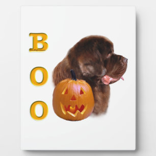 Plaque Photo BOO Halloween Brown de Terre-Neuve