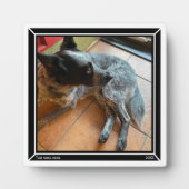 Plaque photo Bordure noire HAMbWG (Devant)