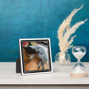 Plaque photo Bordure noire HAMbWG