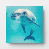 Plaque Photo Bottlenosed Dolphin Underwater (Devant)