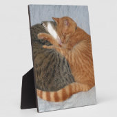 Plaque Photo Boule de la laideur (Côté)