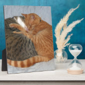 Plaque Photo Boule de la laideur (Côté)