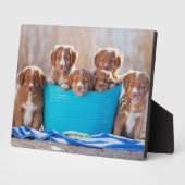 Plaque Photo Boule De Marionnettes Sur La Plage (Côté)