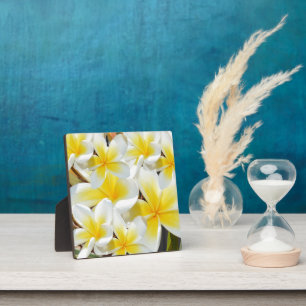Plaque Photo Bouquet Frangipani blanc jaune,