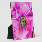 Plaque Photo Bourdon sur une Hydrangee (Côté)