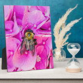 Plaque Photo Bourdon sur une Hydrangee (Côté)