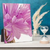 Plaque Photo Bouton de mise à jour (Côté)