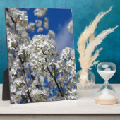 Plaque Photo Bradford Pear Blooms (Côté)