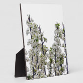 Plaque Photo Bradford Pear Blossoms (Côté)