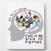 Plaque Photo Brain (Devant)