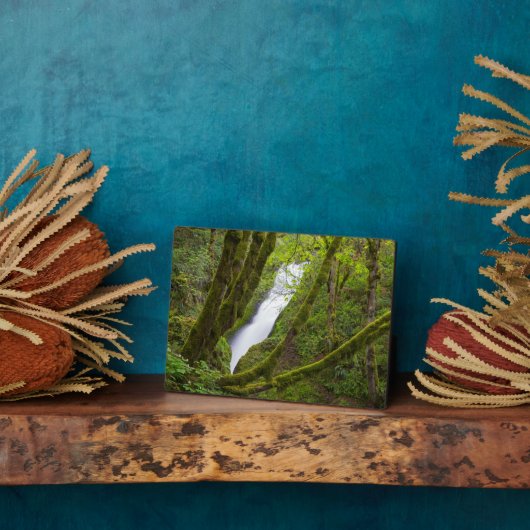 Plaque Photo Bridal Veil (Côté)