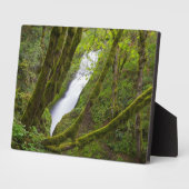 Plaque Photo Bridal Veil (Côté)