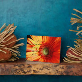 Plaque Photo Bright Orange Daisy (Côté)