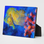 Plaque Photo Bright Seahorse | Hippocampe (Côté)