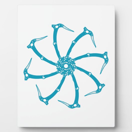 Plaque Photo Broche de l'outil de glace (Devant)