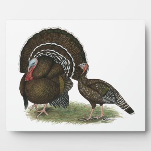 Plaque Photo Bronze standard de Turkey (Devant)