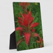 Plaque Photo Brosse à peinture indienne (Côté)