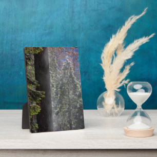 Plaque Photo Brouillard neigeux dans la forêt