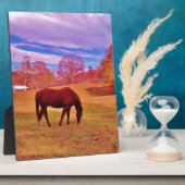 Plaque Photo > Brown dans un champ de couleur onirique (Côté)