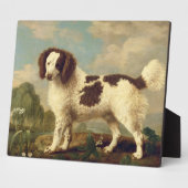 Plaque Photo Brown et blanc Norfolk ou Water Spaniel, 1778 (oi (Côté)