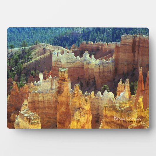 Plaque Photo Bryce Canyon (Devant)