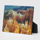 Plaque Photo Bryce Canyon (Côté)