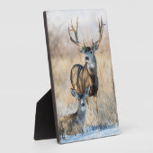 Plaque Photo Buck Couple | Mule Deer (Côté)