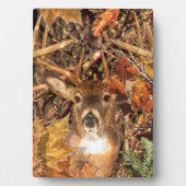 Plaque Photo Buck in Camo White Tail Deer (Devant)