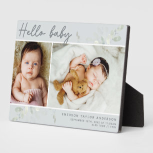 Plaque Photo Budget Eucalyptus Photo Hello Baby Stats