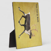 Plaque Photo Bull Caribou (Côté)