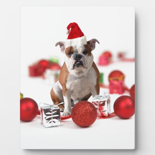 Plaque Photo Bulldog boîte cadeau de Noël Ornements Red Santa C (Devant)
