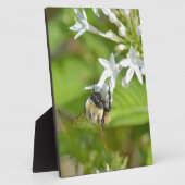 Plaque Photo Bumblebee & fleurs (Côté)