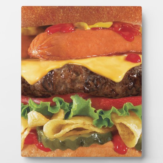 Plaque Photo burger (Devant)