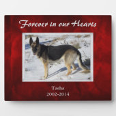 Plaque Photo Burgundy Red Silver Pet Memorial Template (Devant)