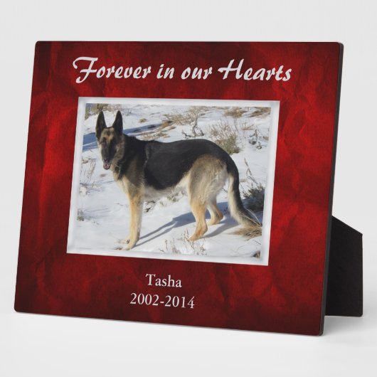 Plaque Photo Burgundy Red Silver Pet Memorial Template (Côté)