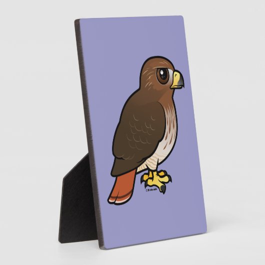 Plaque Photo Buse à queue rouge (Côté)