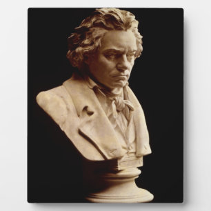 Plaque Photo buste statue de Beethoven
